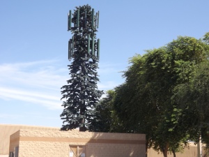 Cell tower disguised as tall pine tree